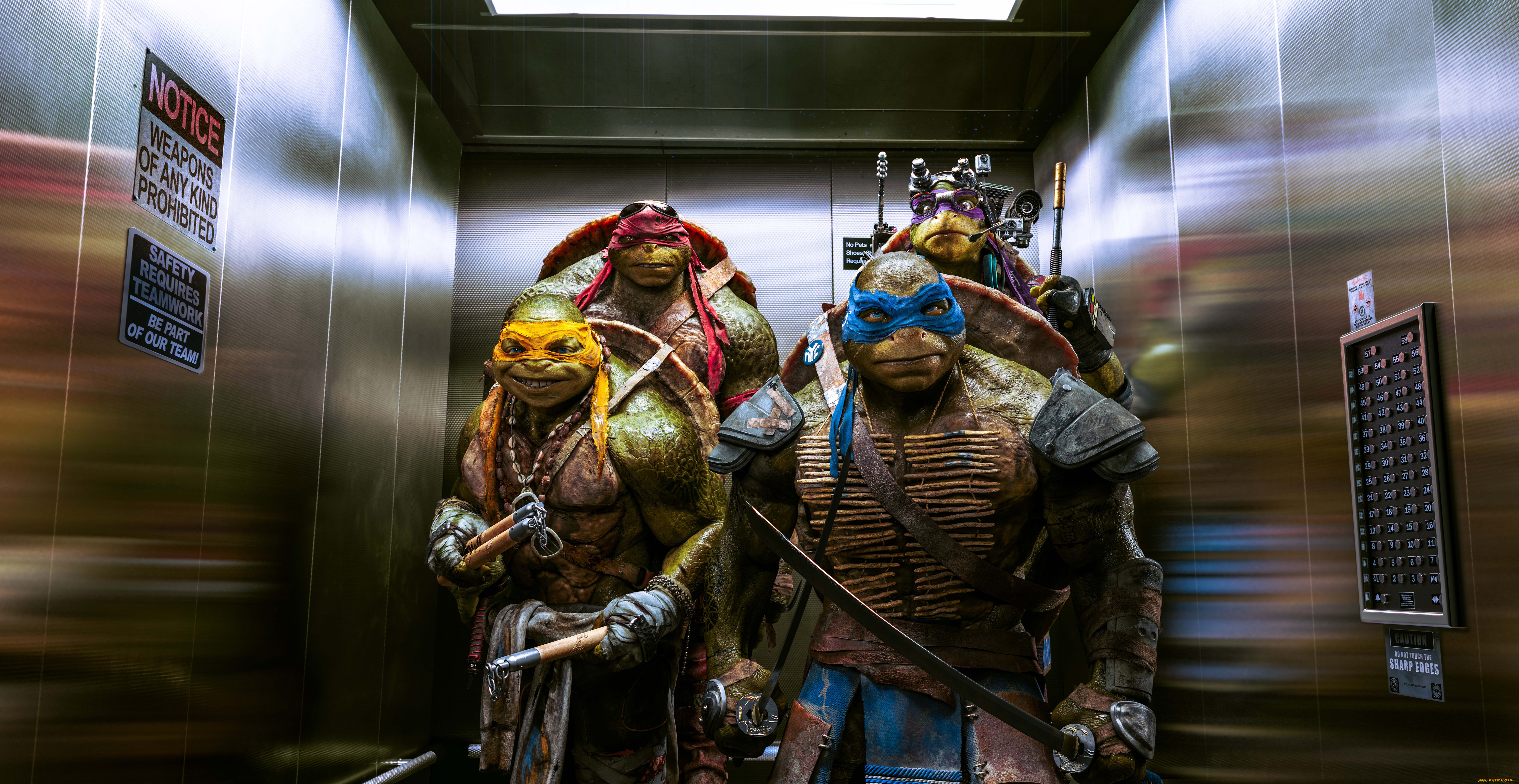 teenage mutant ninja turtles,  , leonardo, , donatello, raphael, , michelangelo